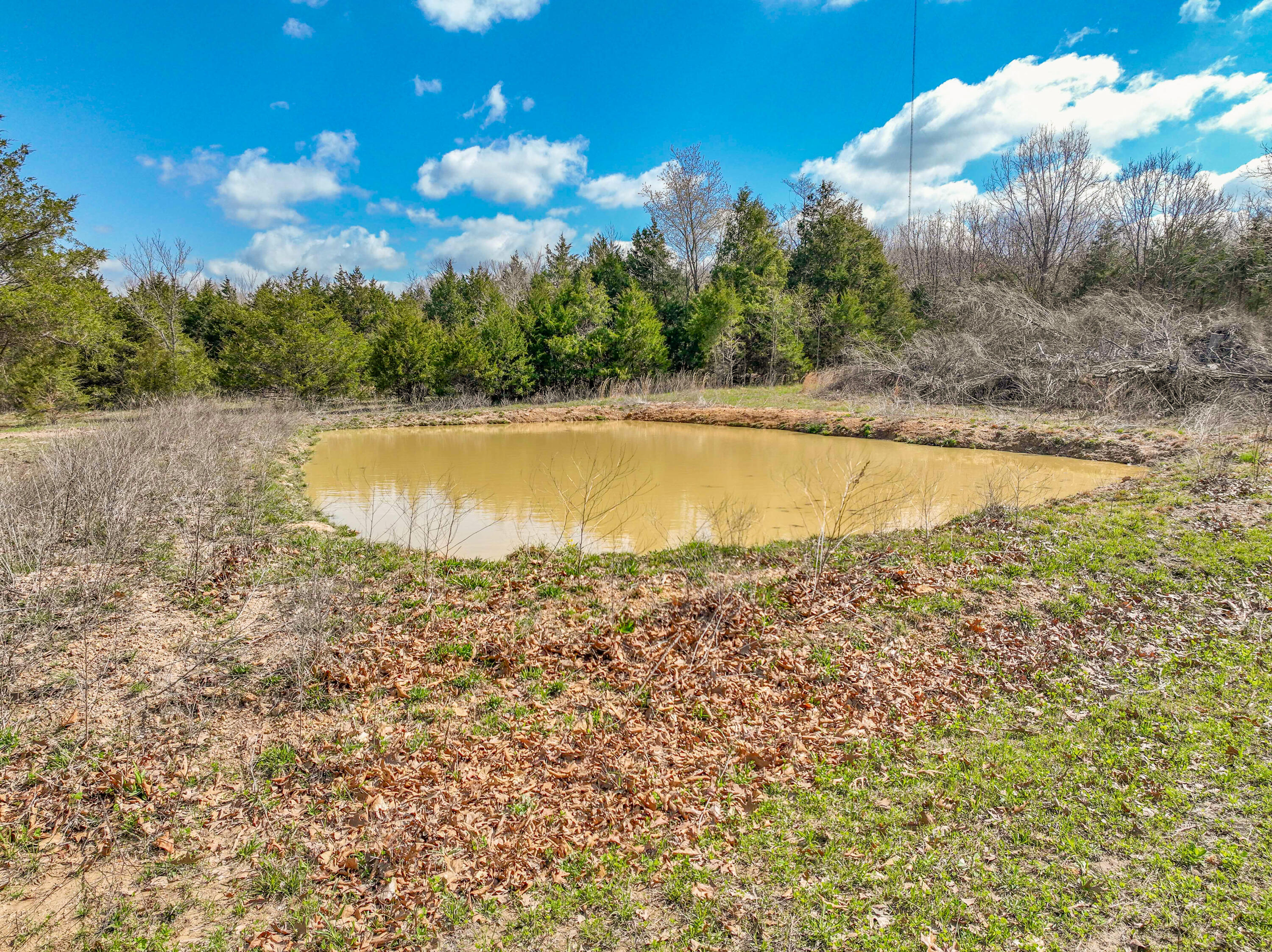 108 Switchgrass Road Property Photo 44