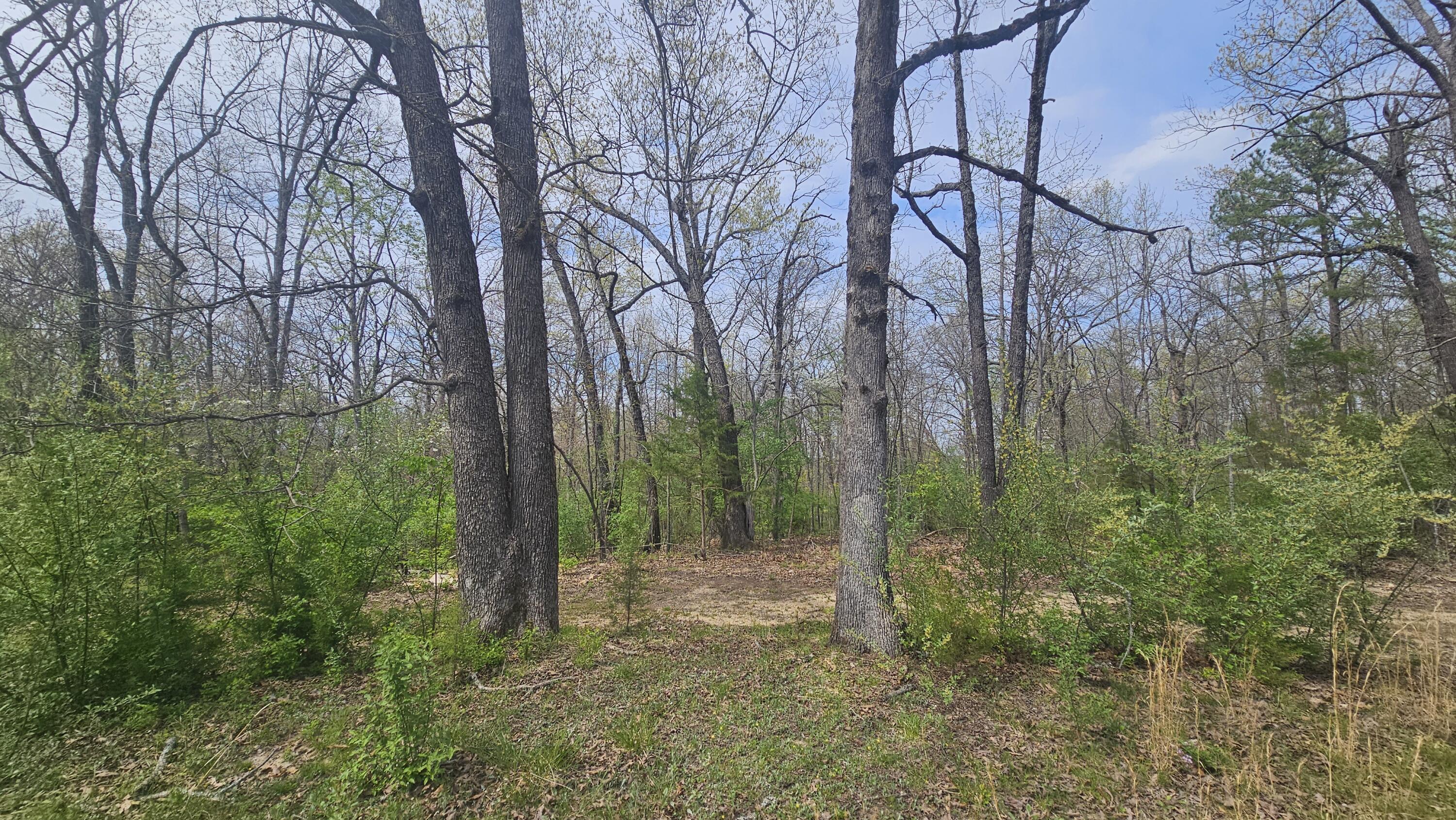 000 County Road 6110 Property Photo 1