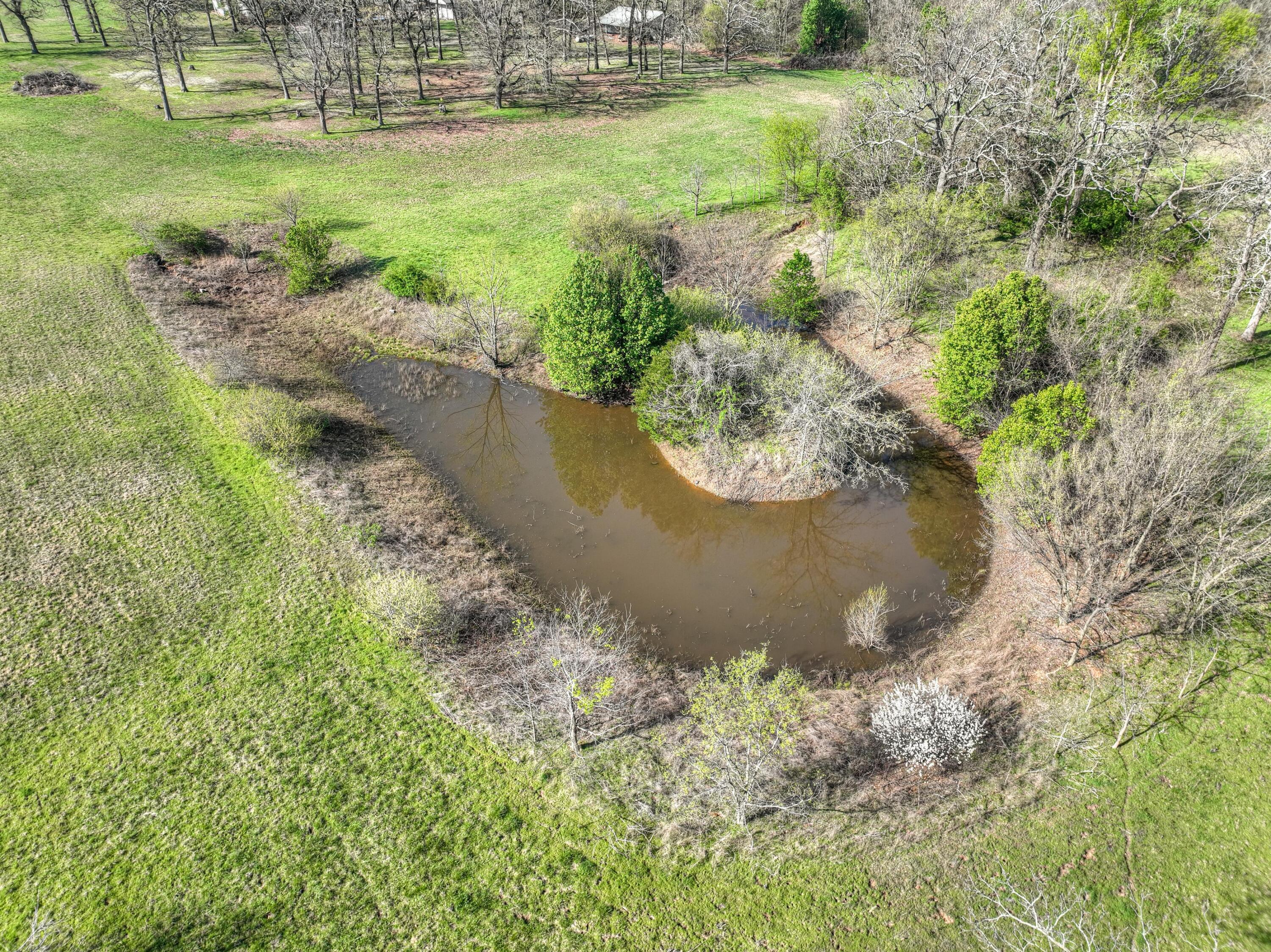 19032 East Highway 86 Property Photo 81