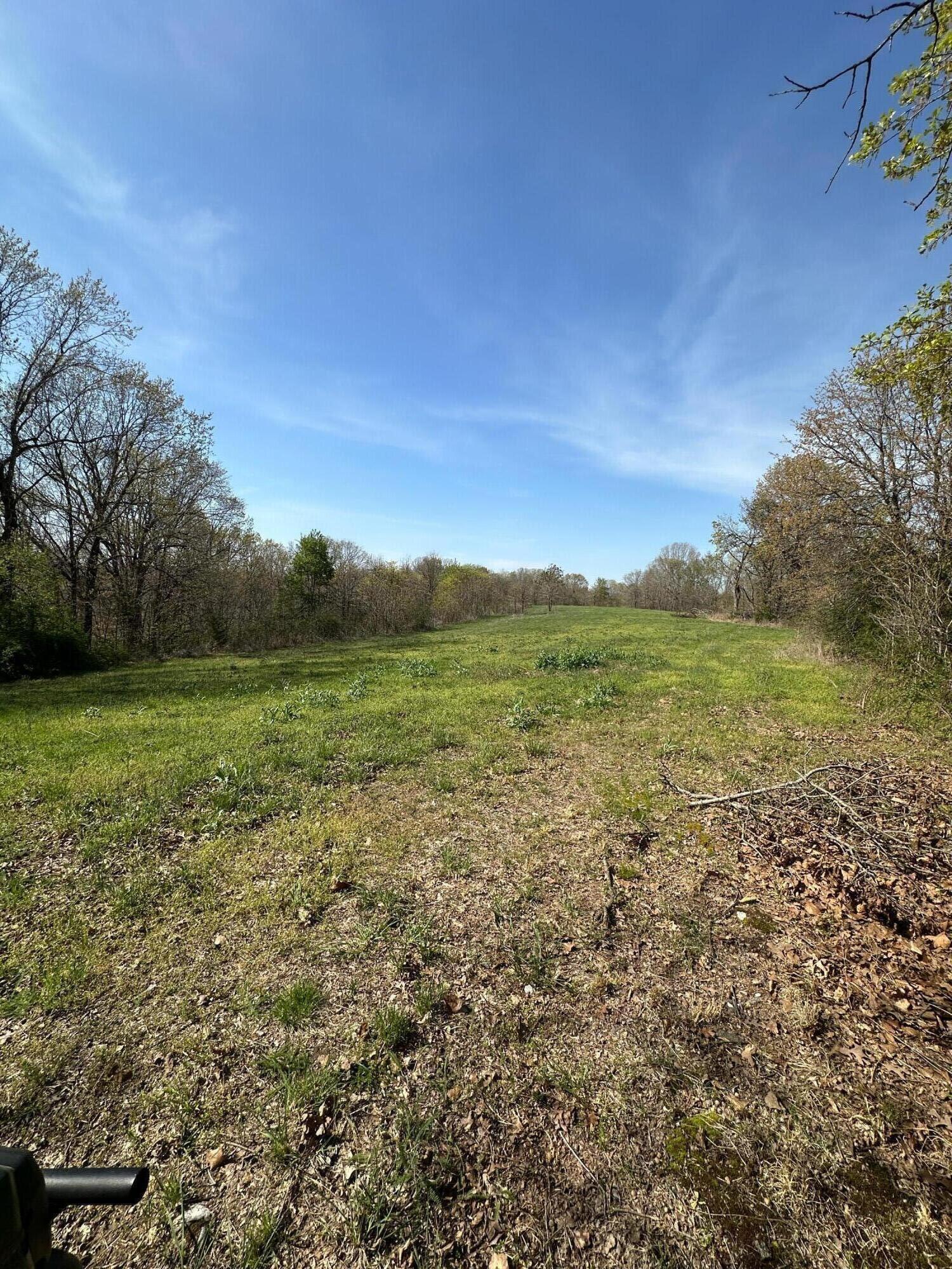1143 Pendergraft Road Property Photo