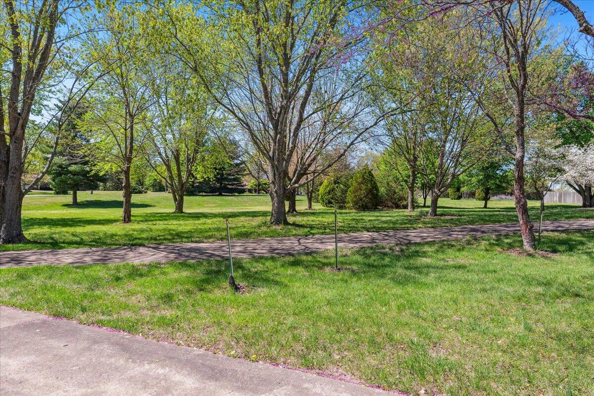 971 West Meadowview Drive Property Photo 6