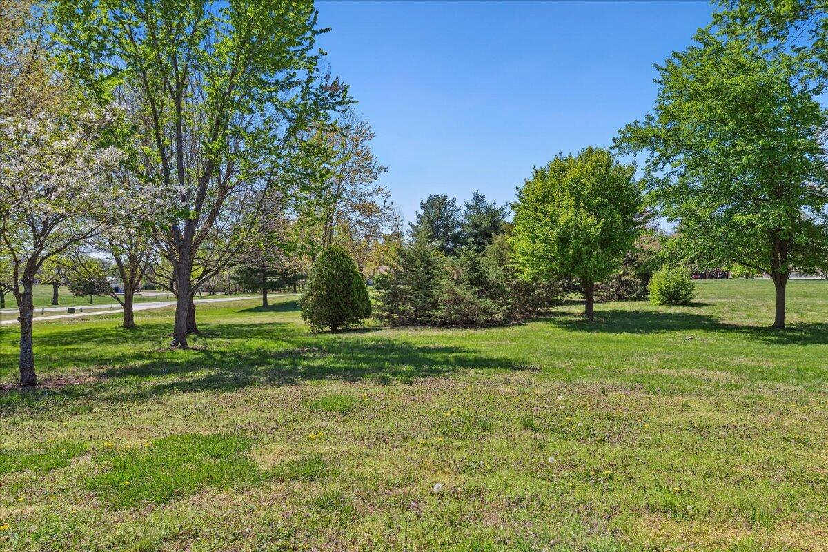 971 West Meadowview Drive Property Photo 7