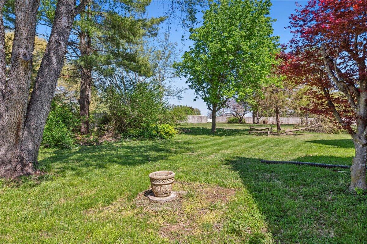 971 West Meadowview Drive Property Photo 54