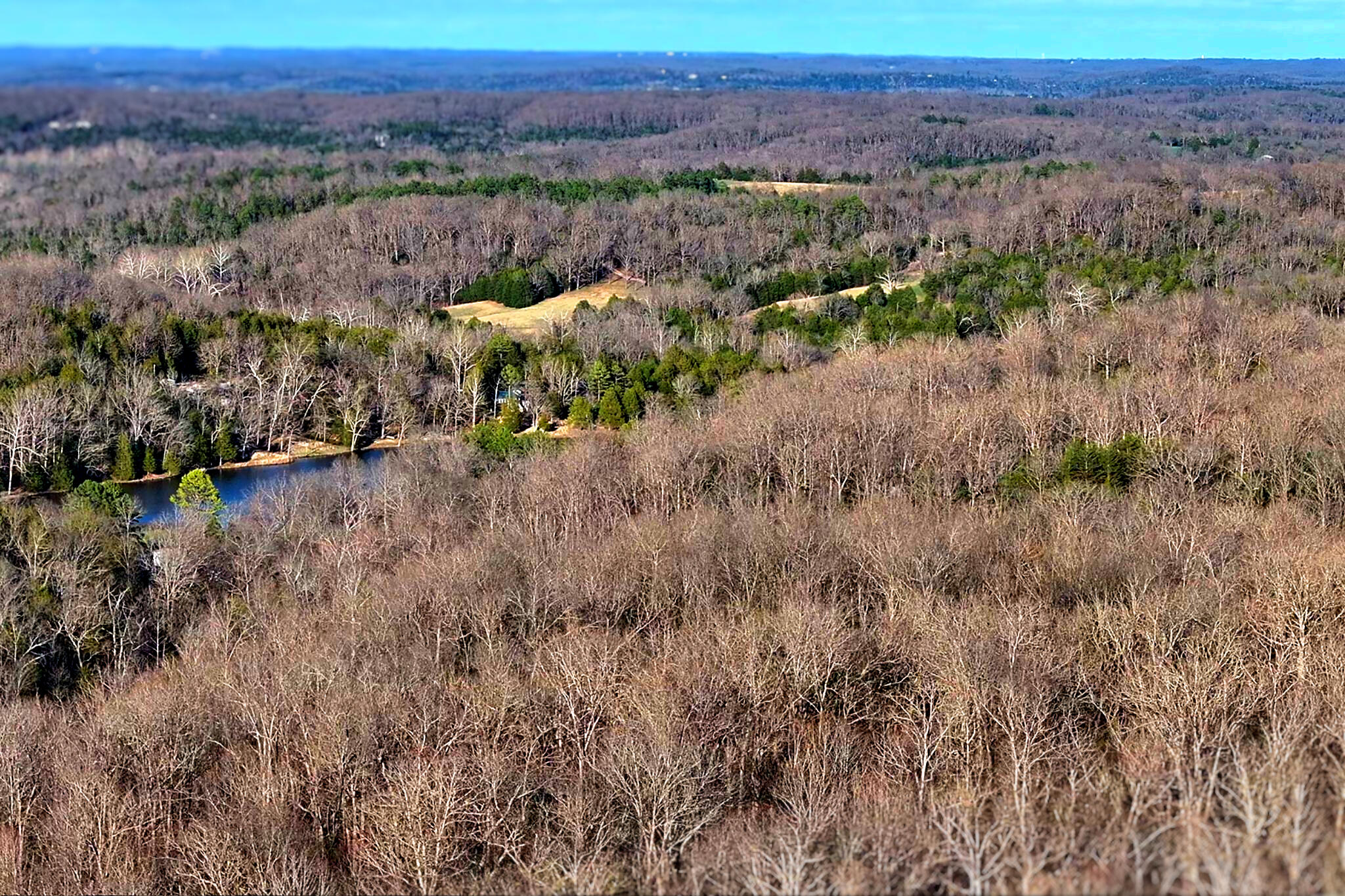 302 Spring Woods Road Property Photo