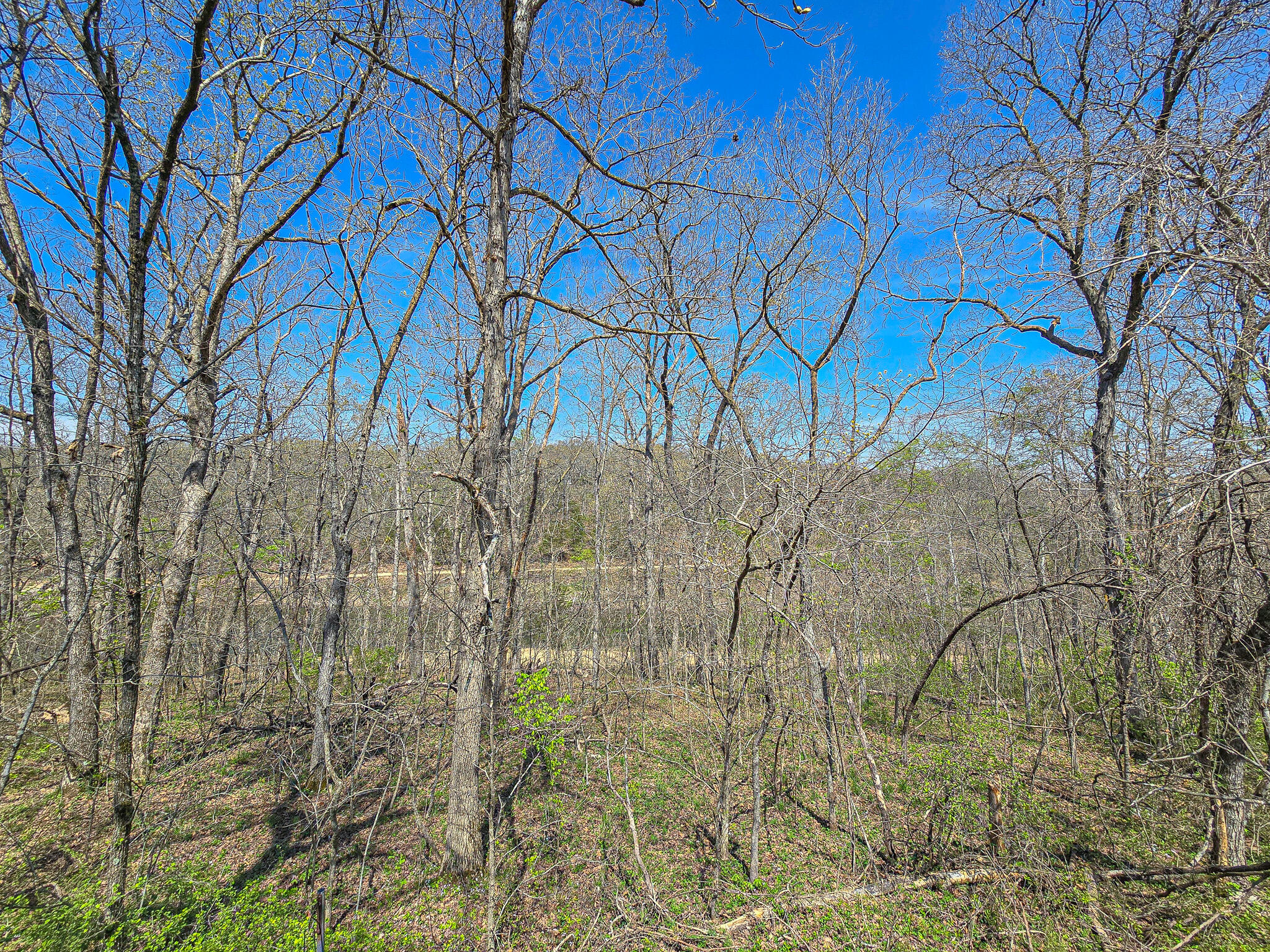 26495 County Road 331 Loop Property Photo 3