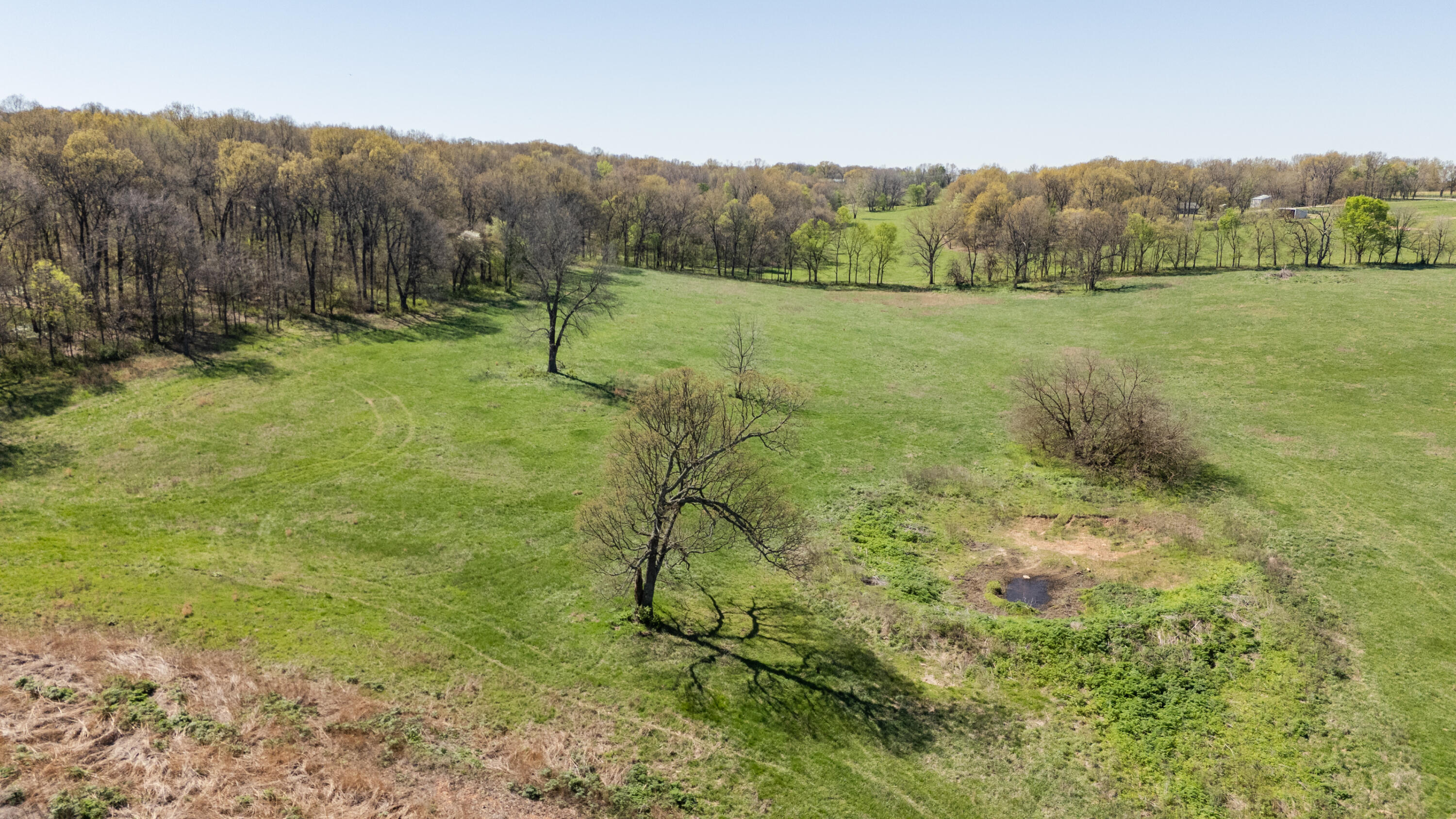 26097 Poppy Drive Property Photo 43