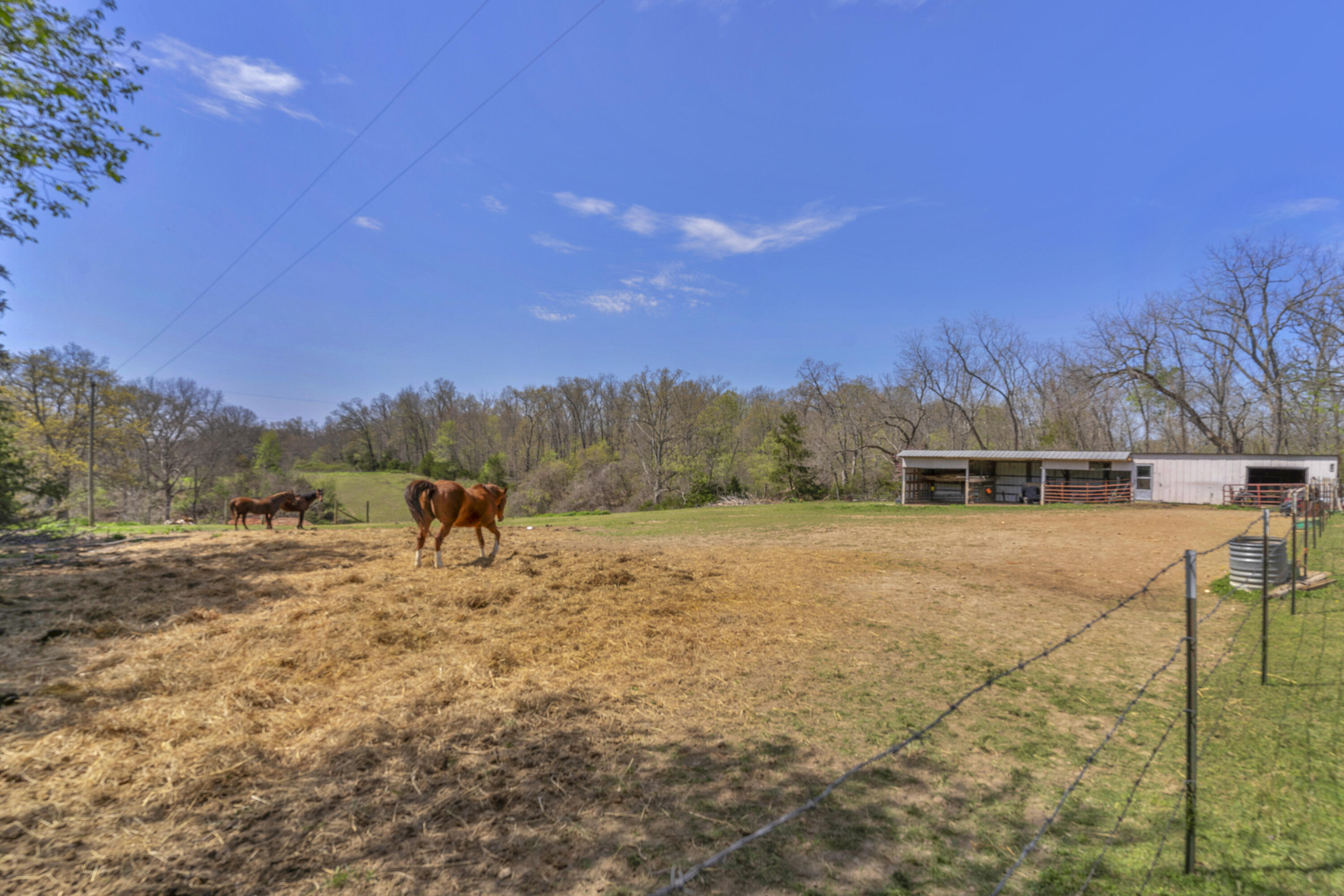 3440 Reed Road Property Photo 9