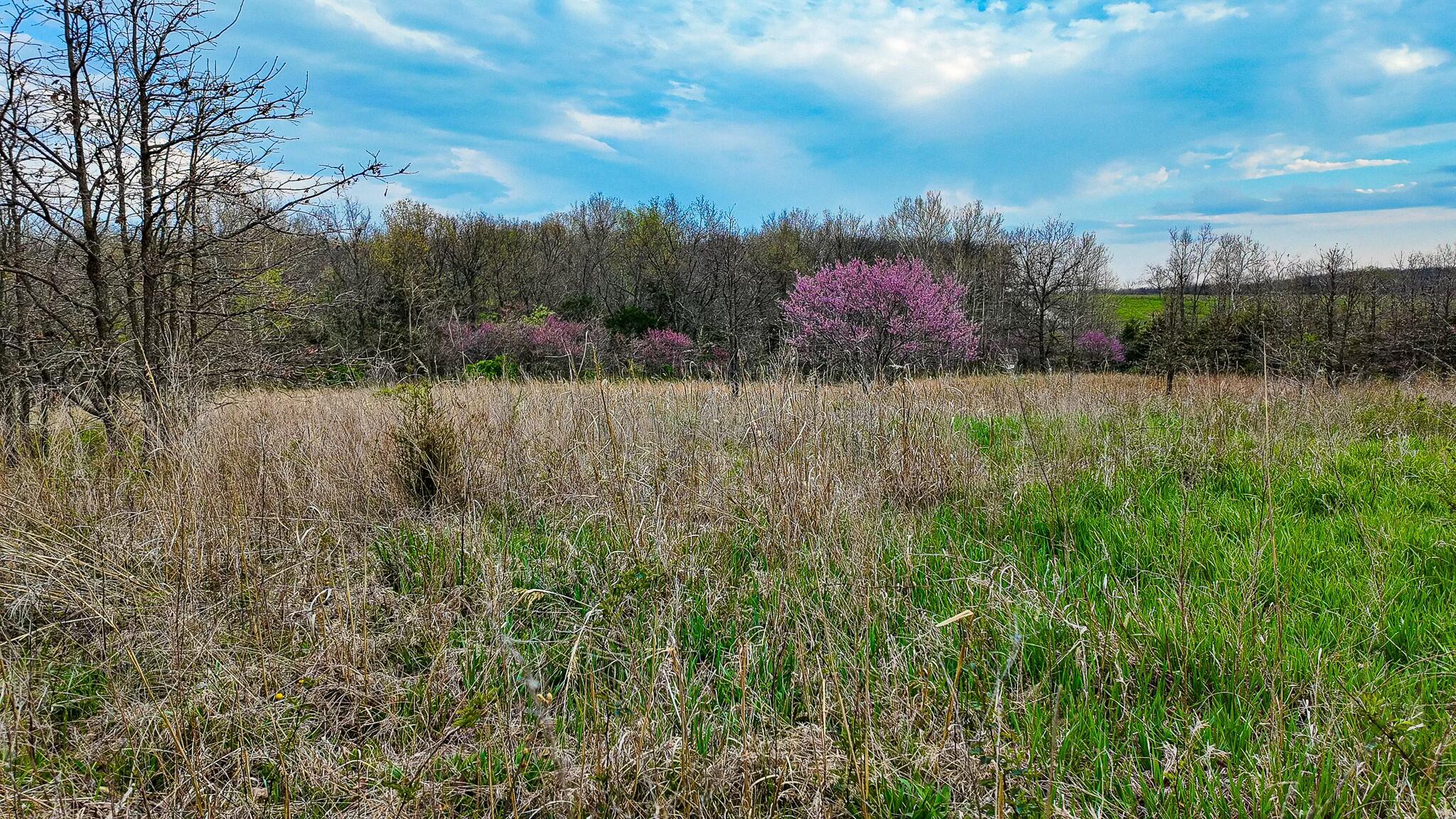10200 Southeast 1075 Road Property Photo 53