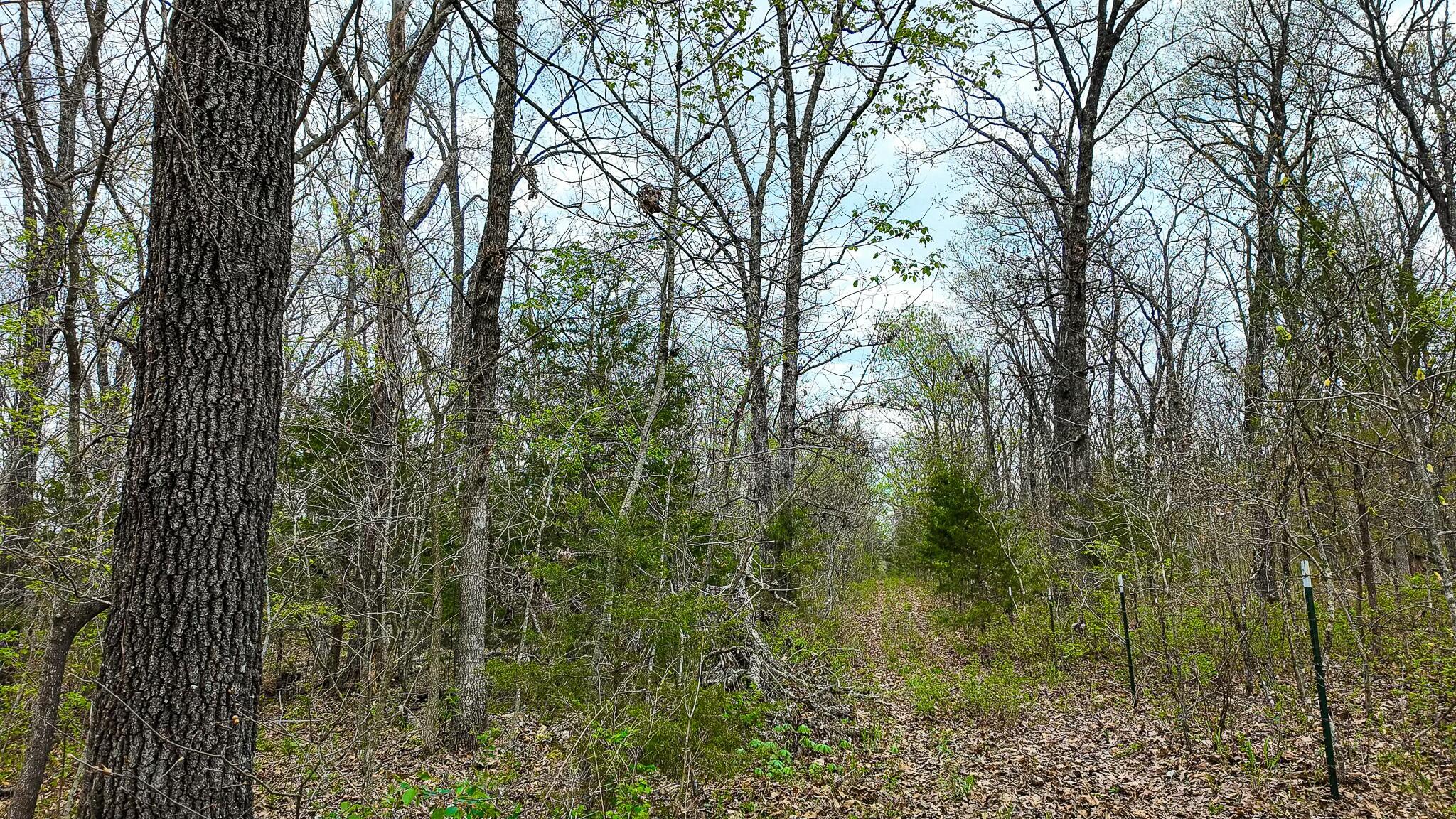 10200 Southeast 1075 Road Property Photo 56