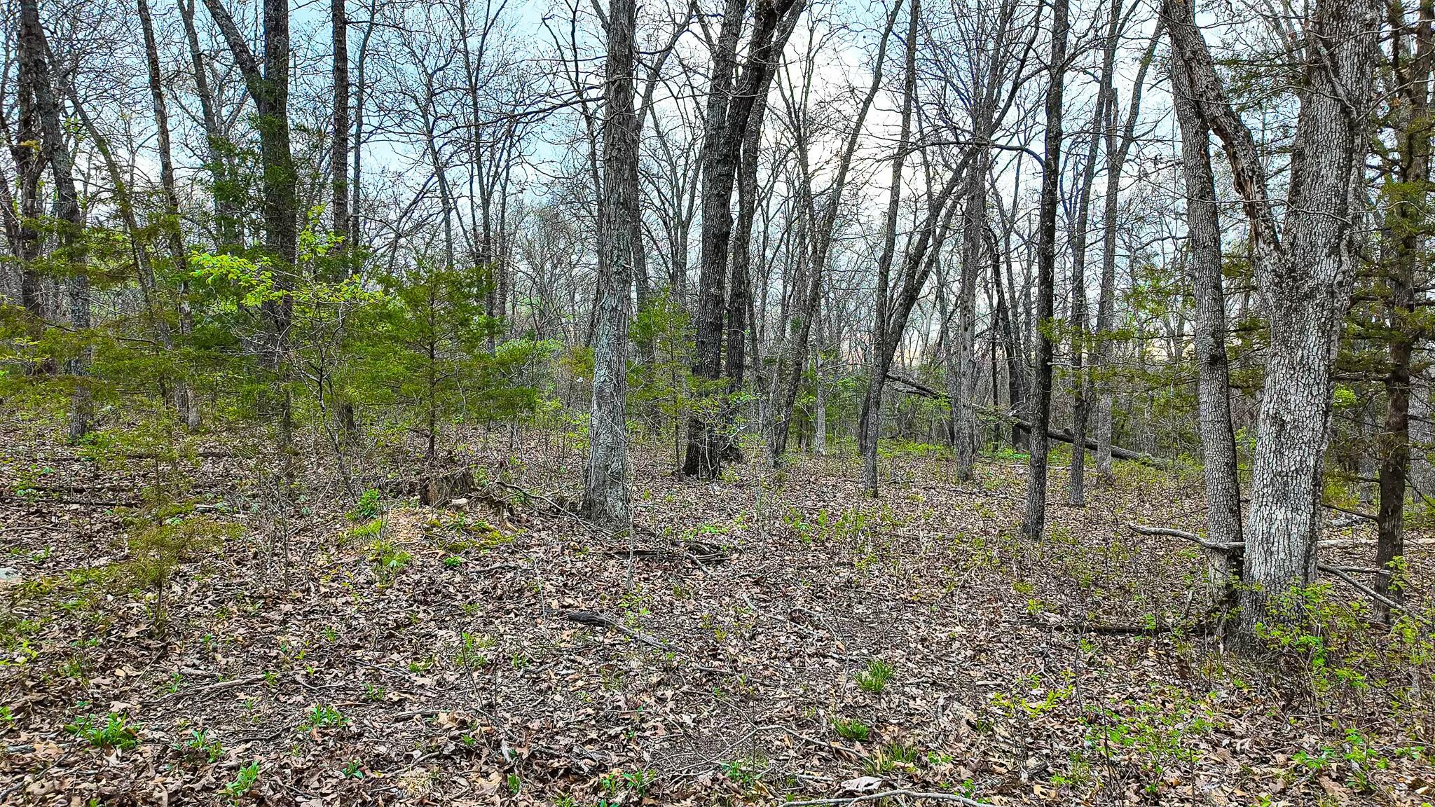10200 Southeast 1075 Road Property Photo 60