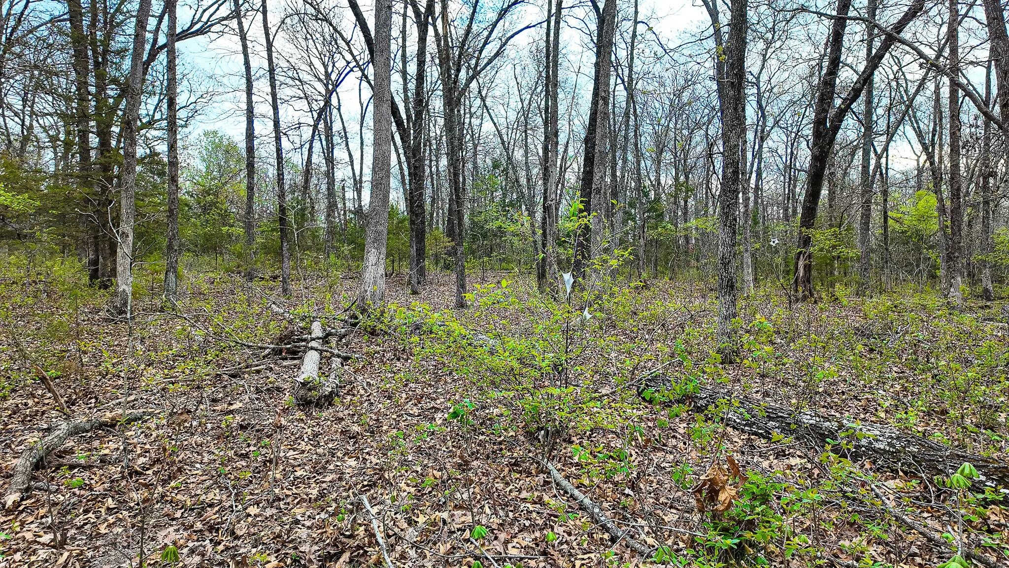 10200 Southeast 1075 Road Property Photo 62