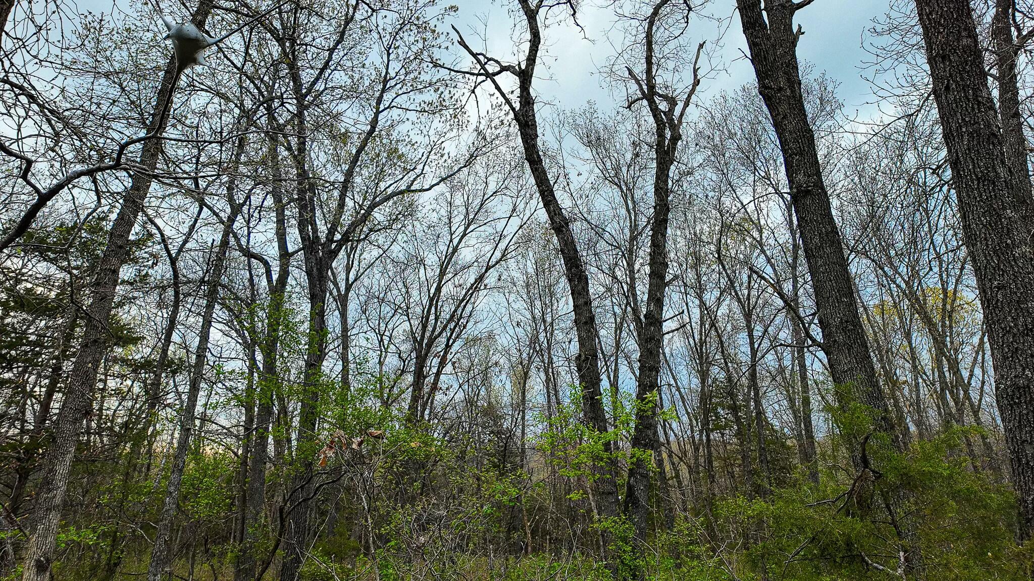 10200 Southeast 1075 Road Property Photo 63