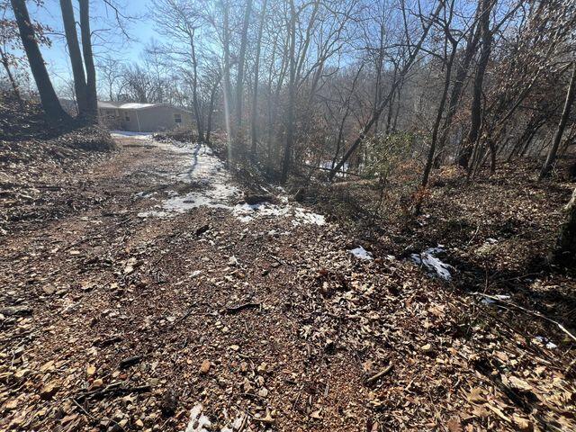 81 Kirk Mountain Lane Property Photo 20