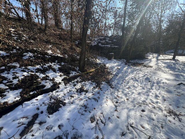 81 Kirk Mountain Lane Property Photo 23