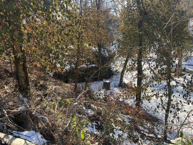 81 Kirk Mountain Lane Property Photo 25