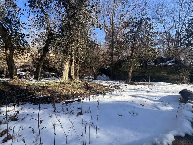 81 Kirk Mountain Lane Property Photo 29