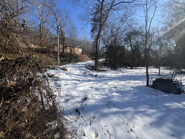 81 Kirk Mountain Lane Property Photo 33