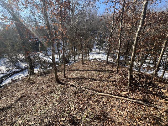 81 Kirk Mountain Lane Property Photo 35