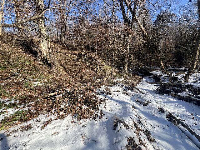 81 Kirk Mountain Lane Property Photo 37