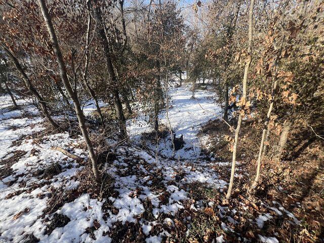 81 Kirk Mountain Lane Property Photo 41