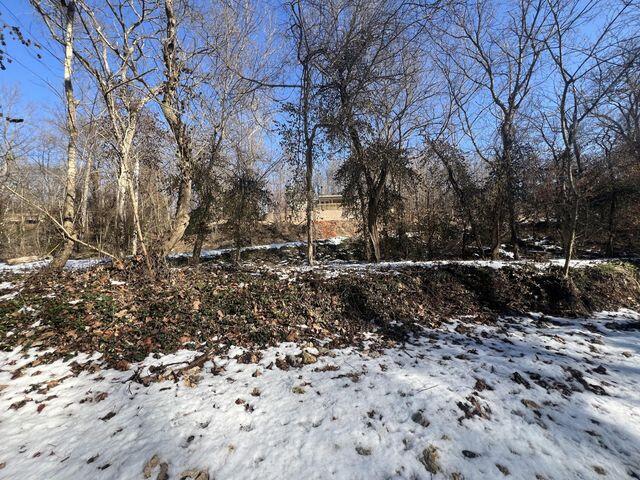 81 Kirk Mountain Lane Property Photo 43