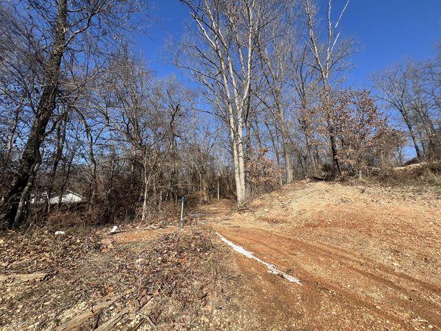 81 Kirk Mountain Lane Property Photo 45