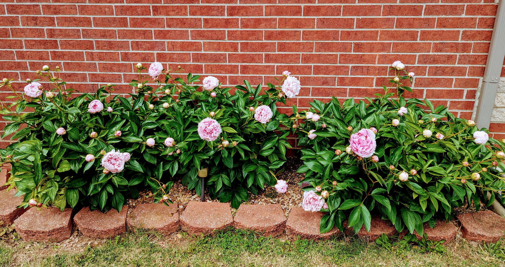 5363 Cloverdale Lane Property Photo 45