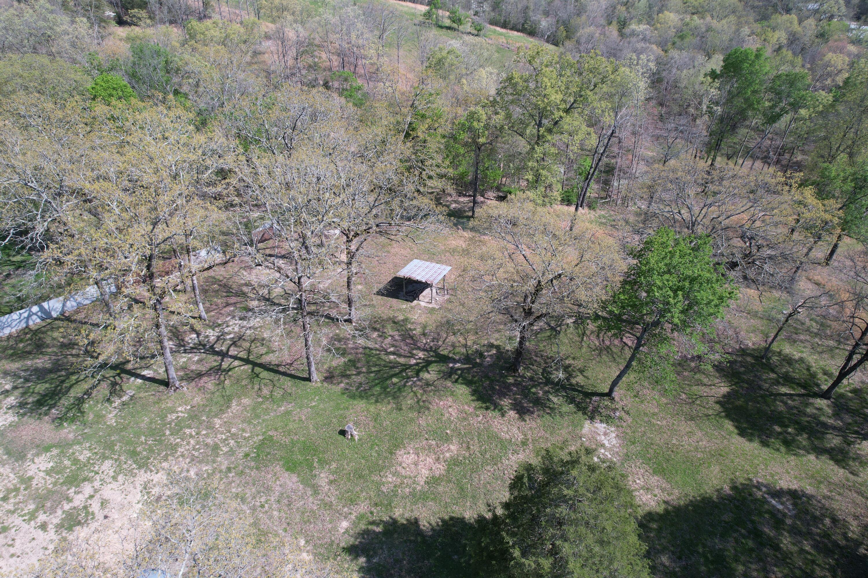 1002 County Road 537 Property Photo 10