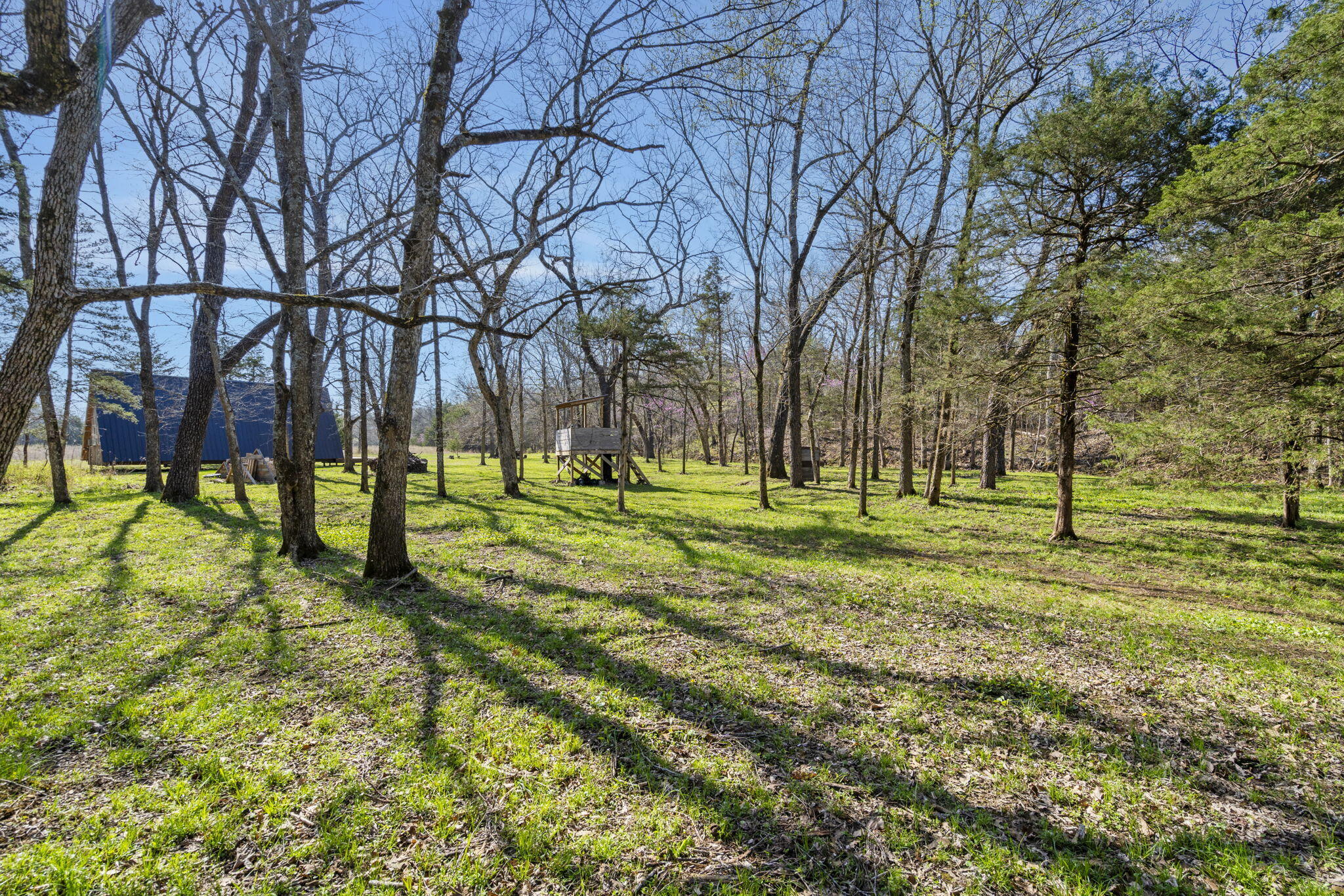 118 Bethel Road Property Photo 24