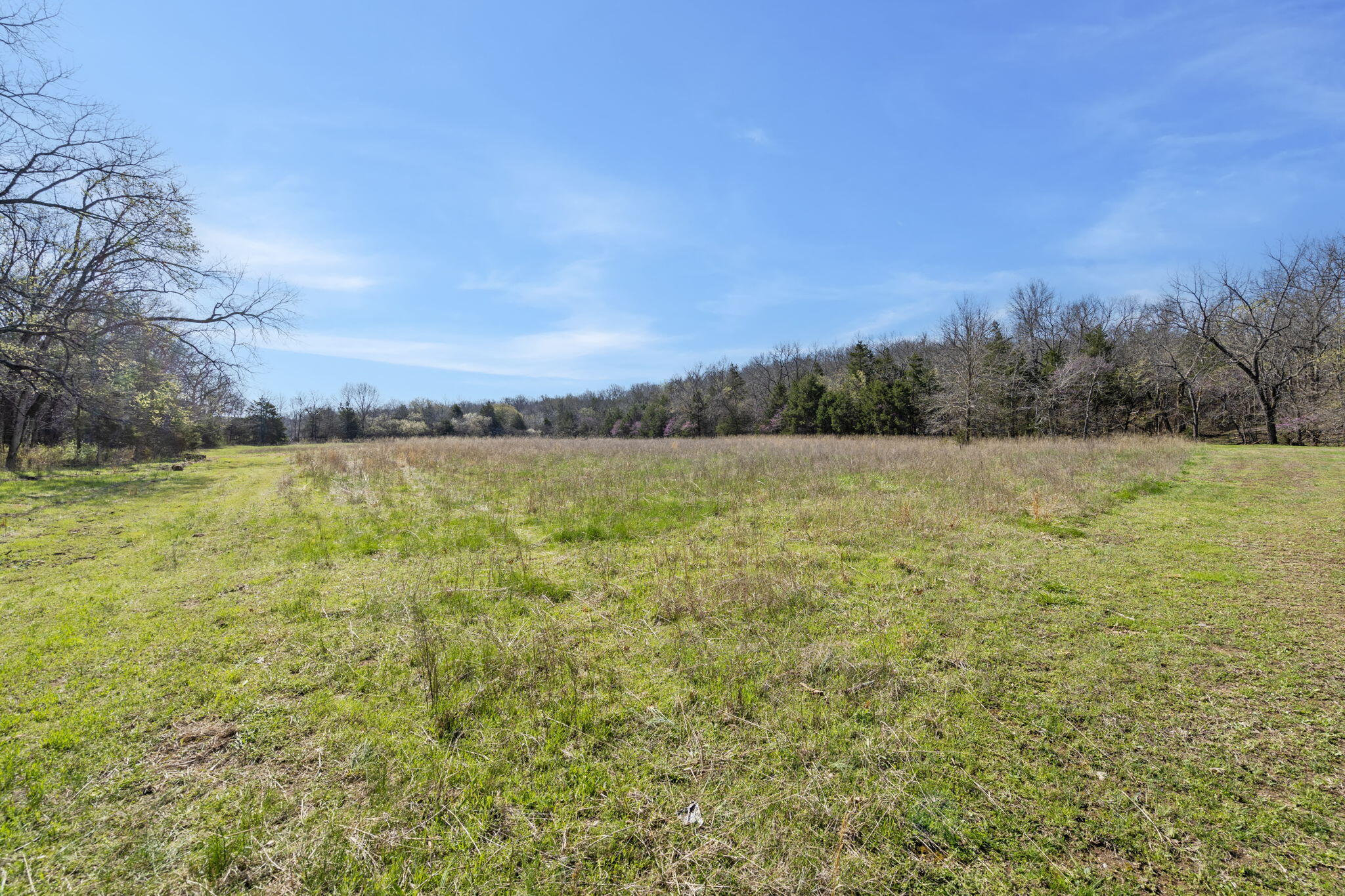 118 Bethel Road Property Photo 34