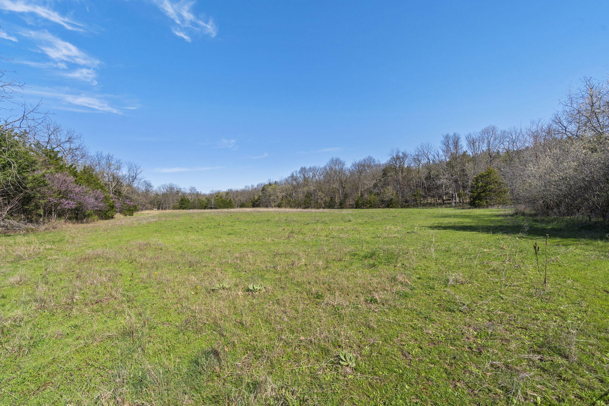 118 Bethel Road Property Photo 35