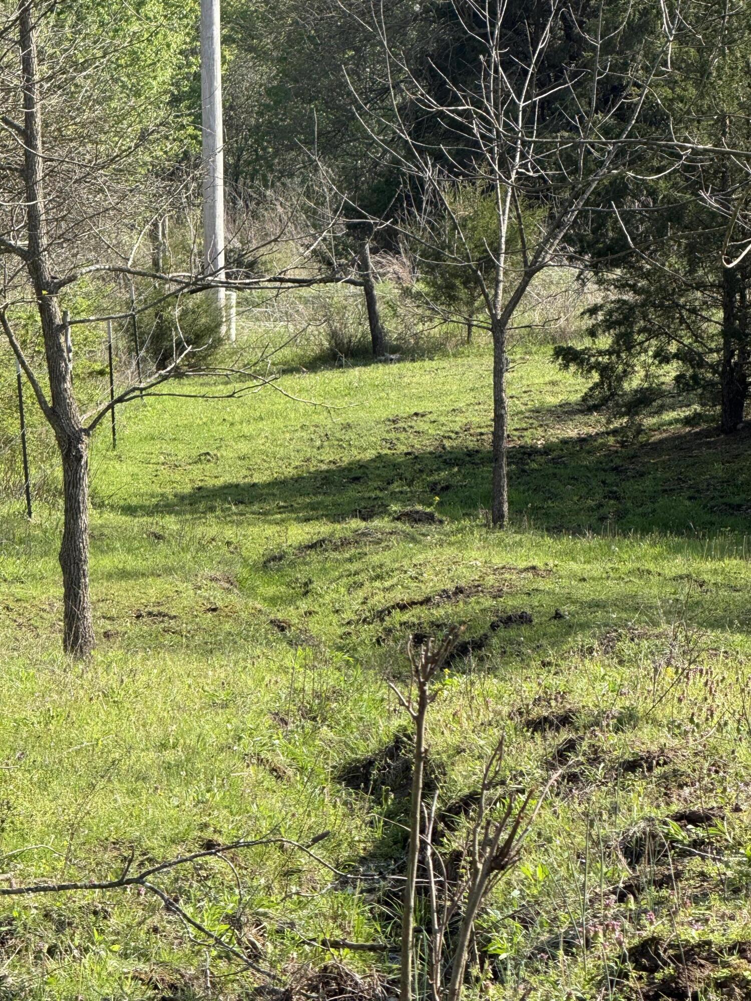 1978 East 473 Road Property Photo 52