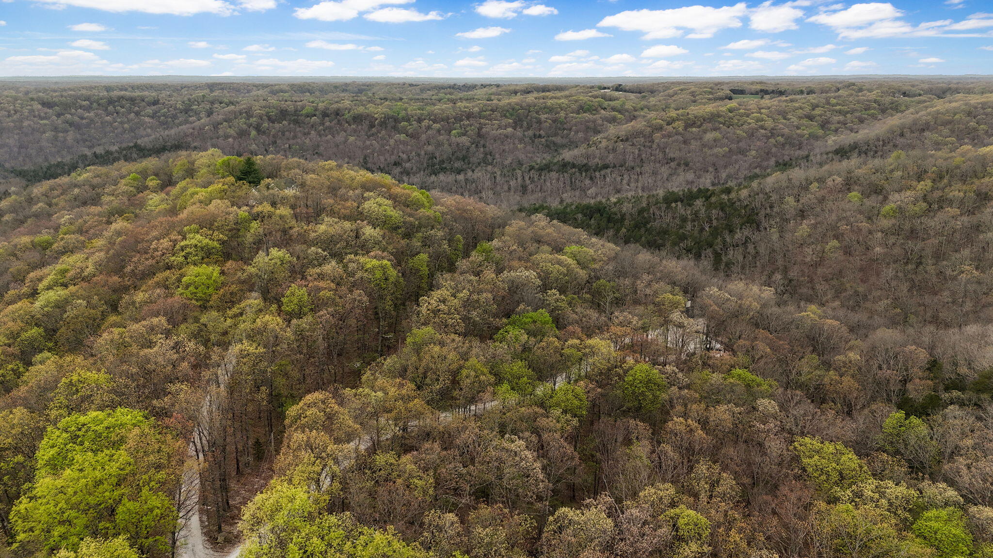 1229 Center Road Property Photo 6