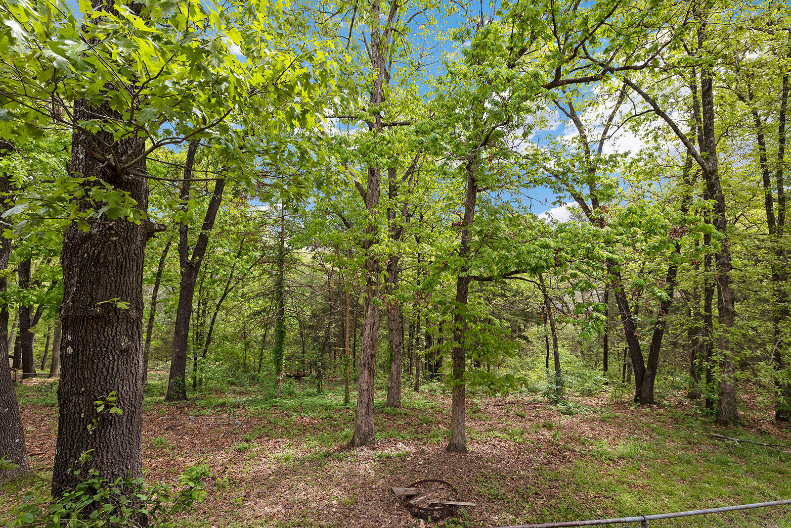 150 Alysse Lane Property Photo 45