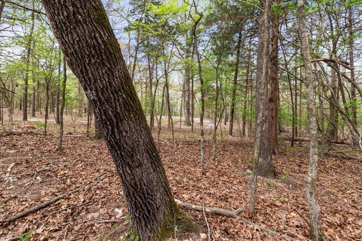 434 Beachwood Drive Property Photo 51