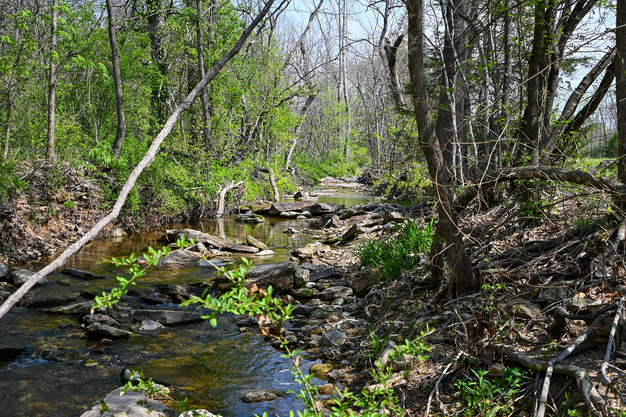 1138 Rock Road Property Photo 3