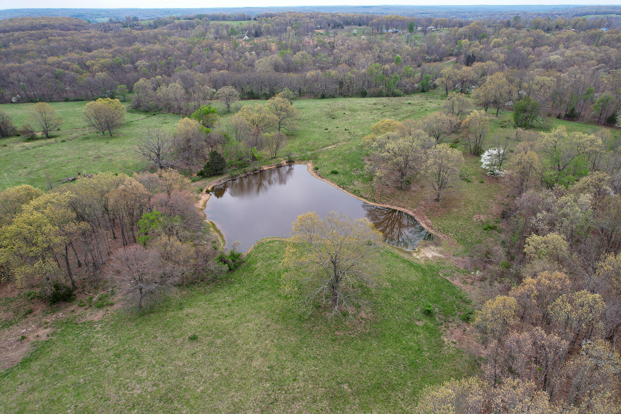 8100 Creek Road Property Photo 18