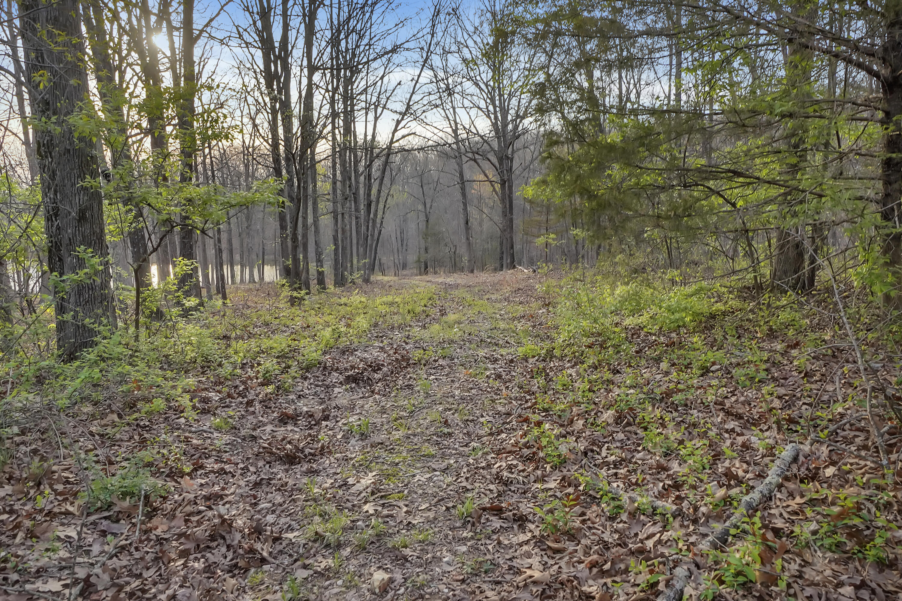 1269 County Road 1070 Property Photo 73