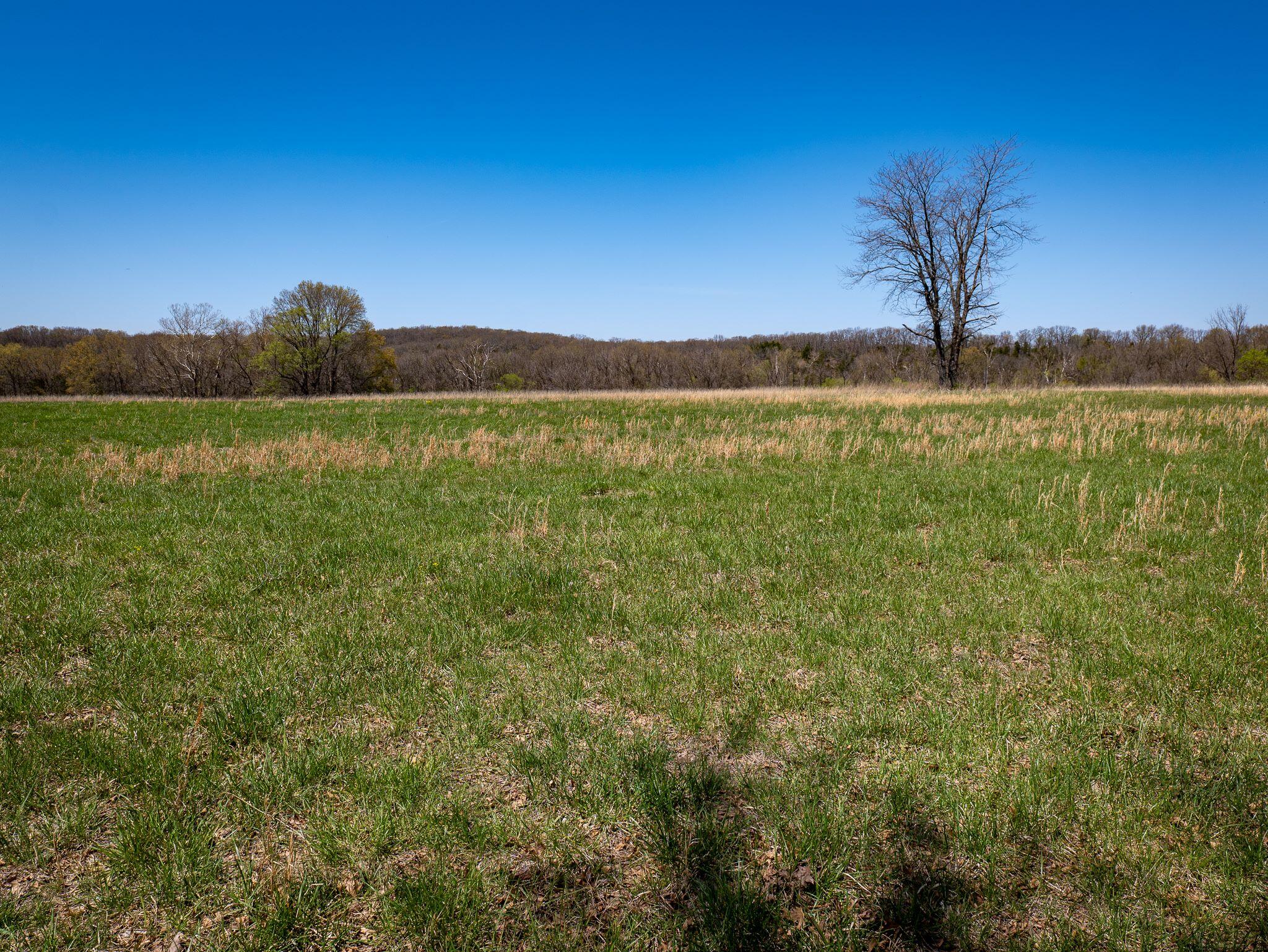 1375 Southeast 800 Road Property Photo 30