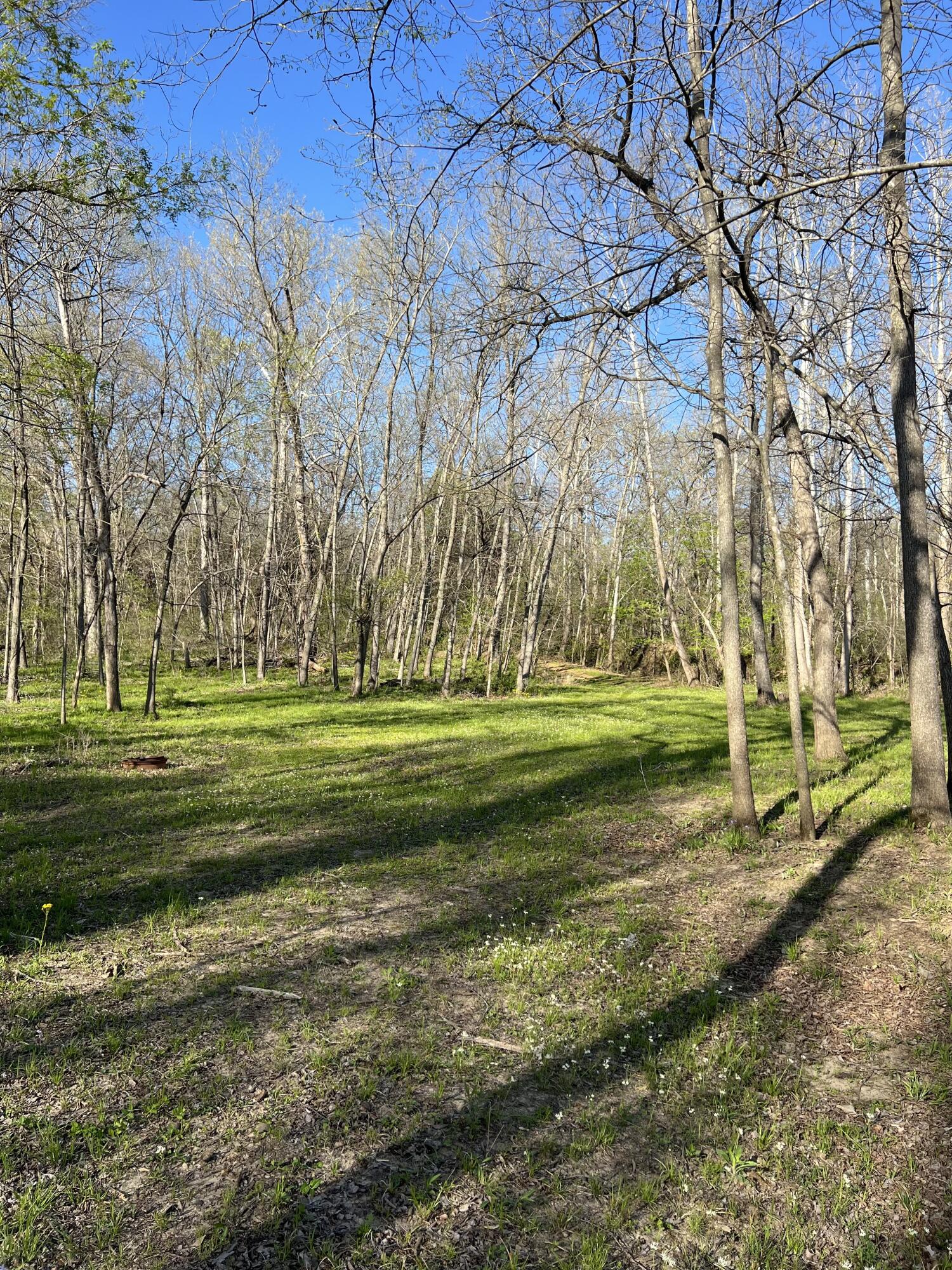 1375 Southeast 800 Road Property Photo 61