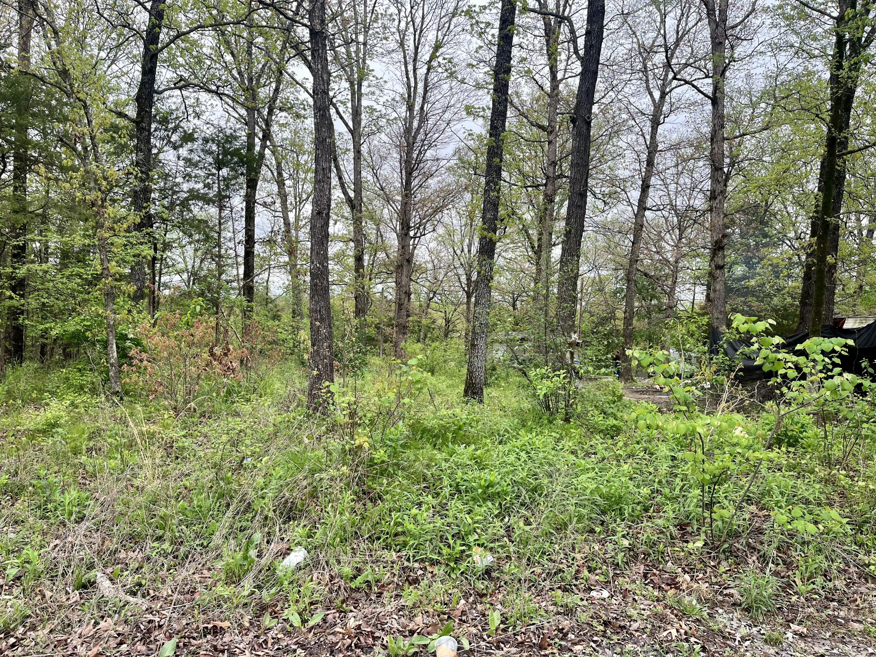 7009 Cliff Drive Property Photo 1