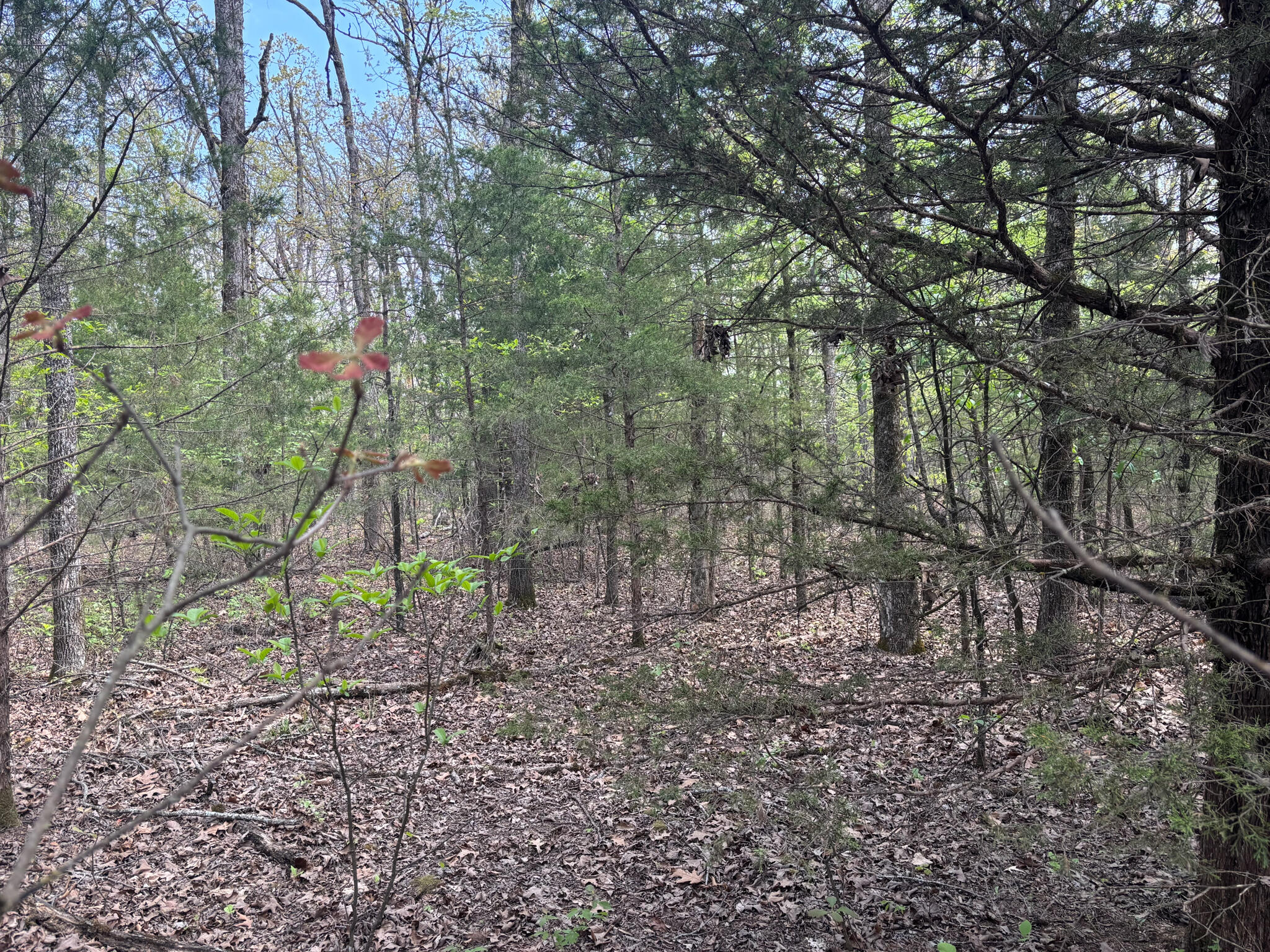000 County Road 644 Property Photo 3