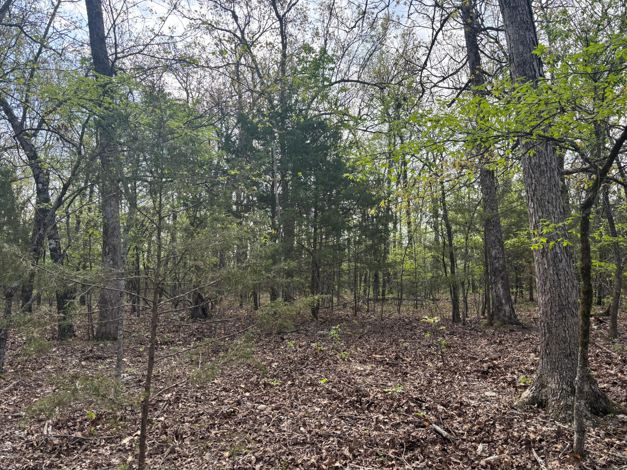 000 County Road 644 Property Photo 5