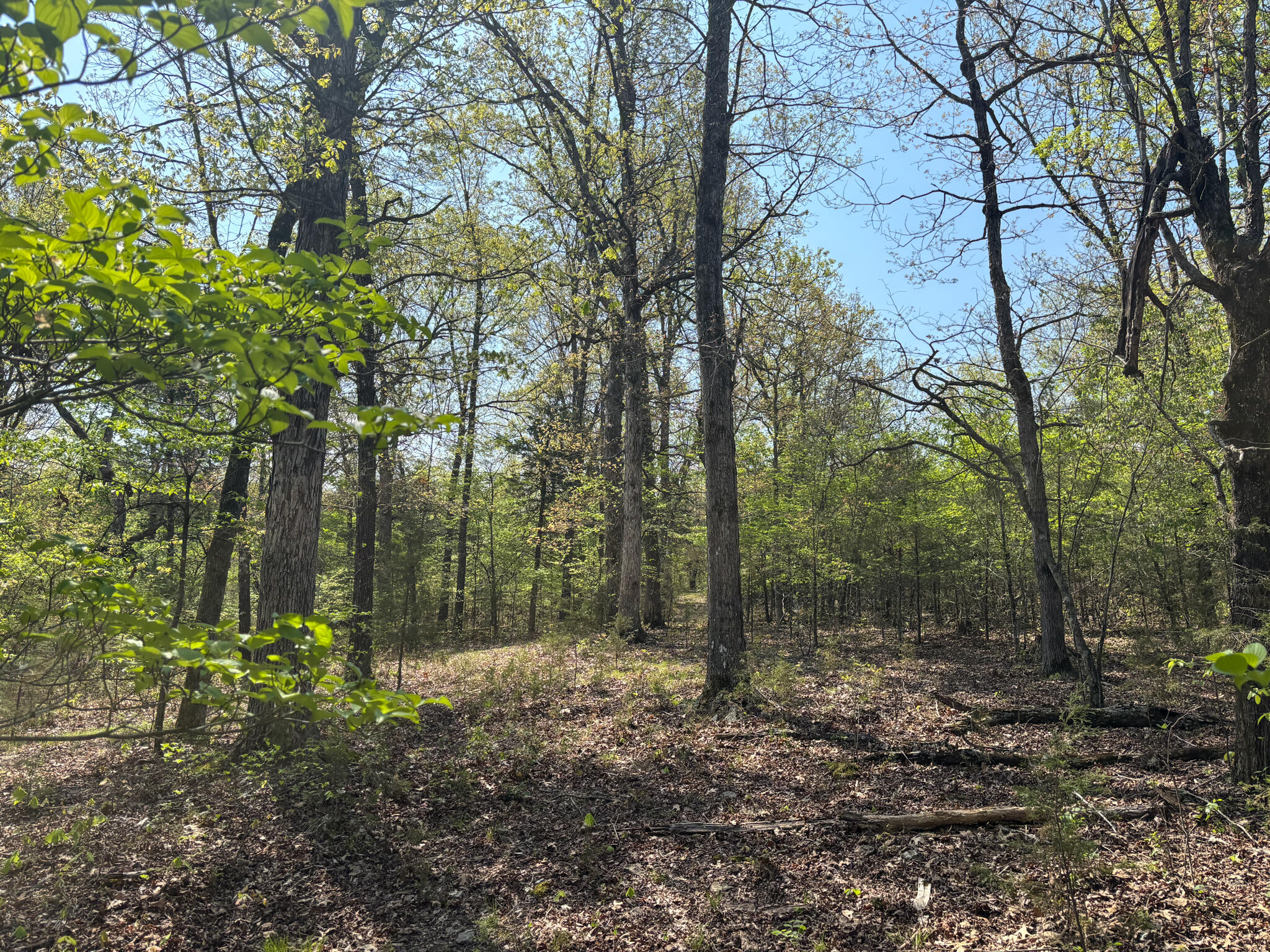 000 County Road 644 Property Photo 11