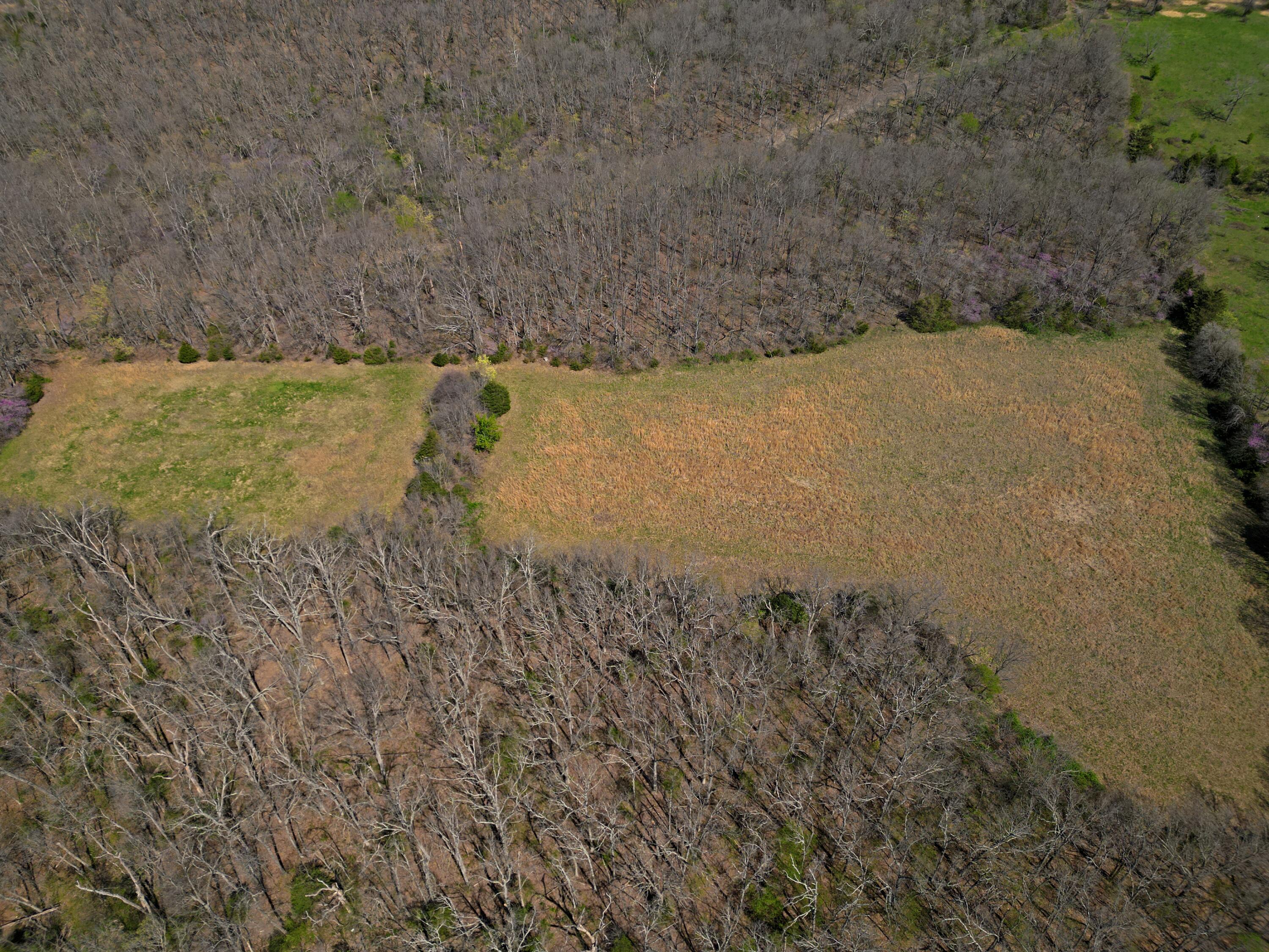 4912 State Highway Cc Property Photo 16