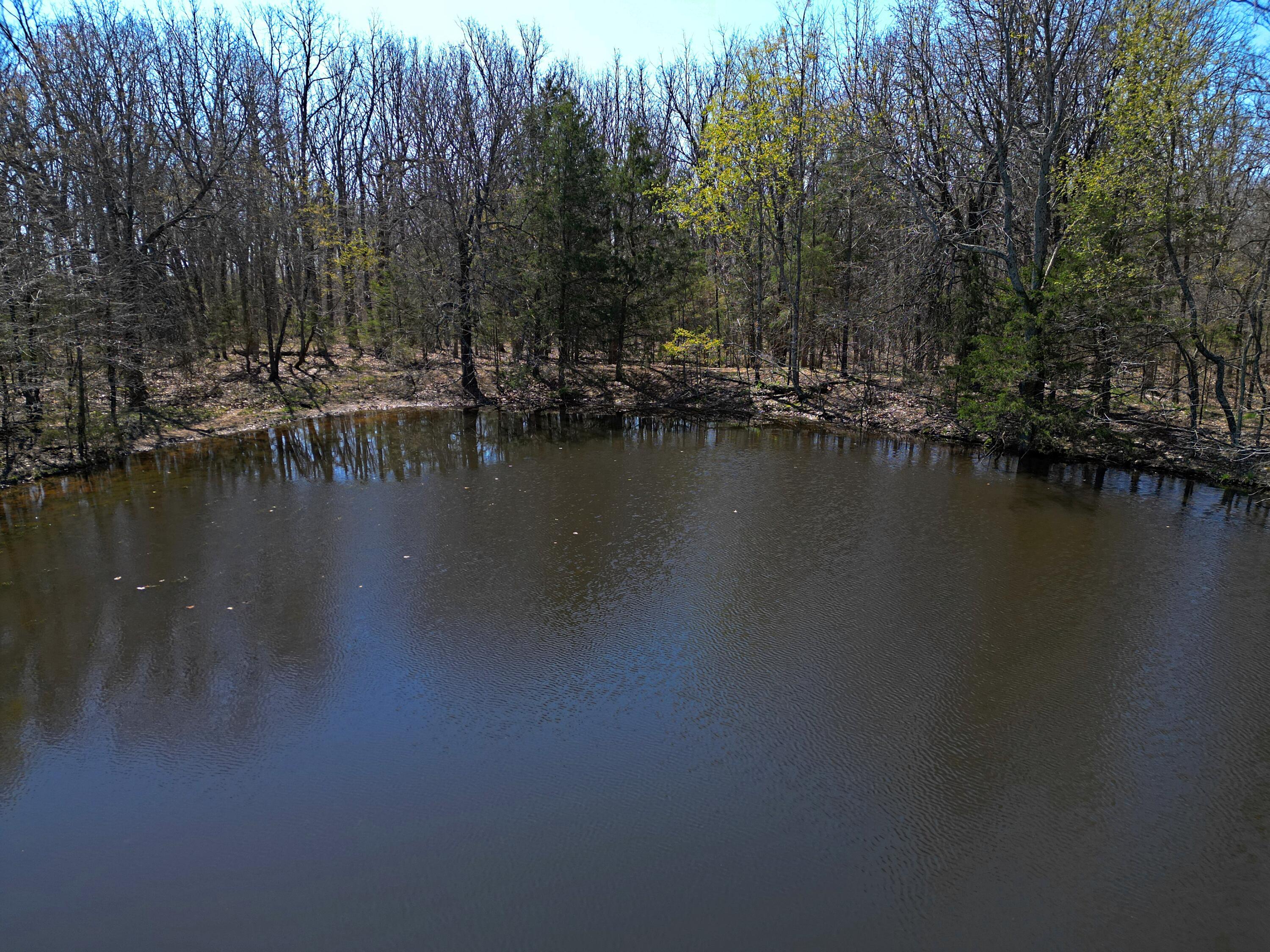 4912 State Highway Cc Property Photo 26