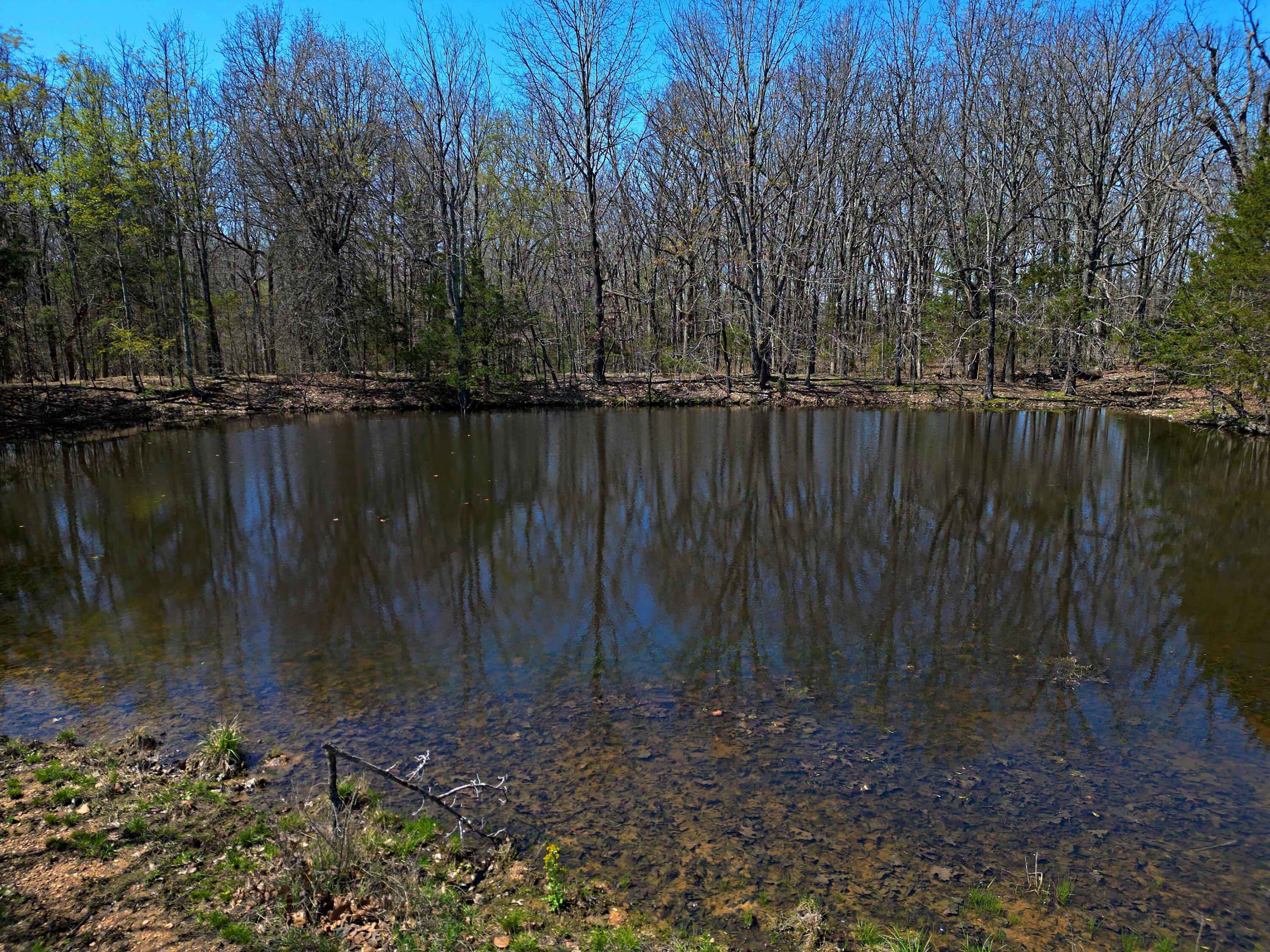 4912 State Highway Cc Property Photo 27