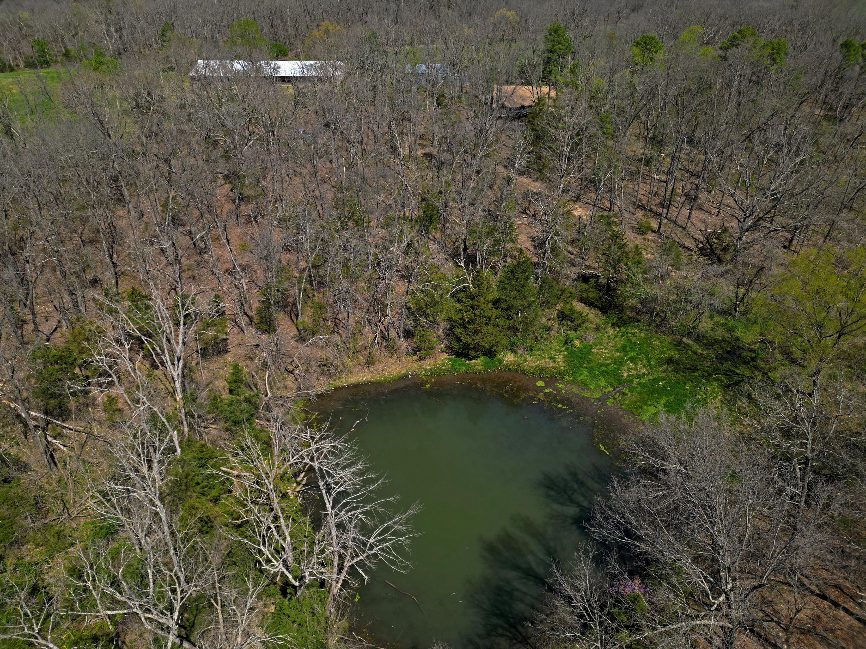 4912 State Highway Cc Property Photo 32