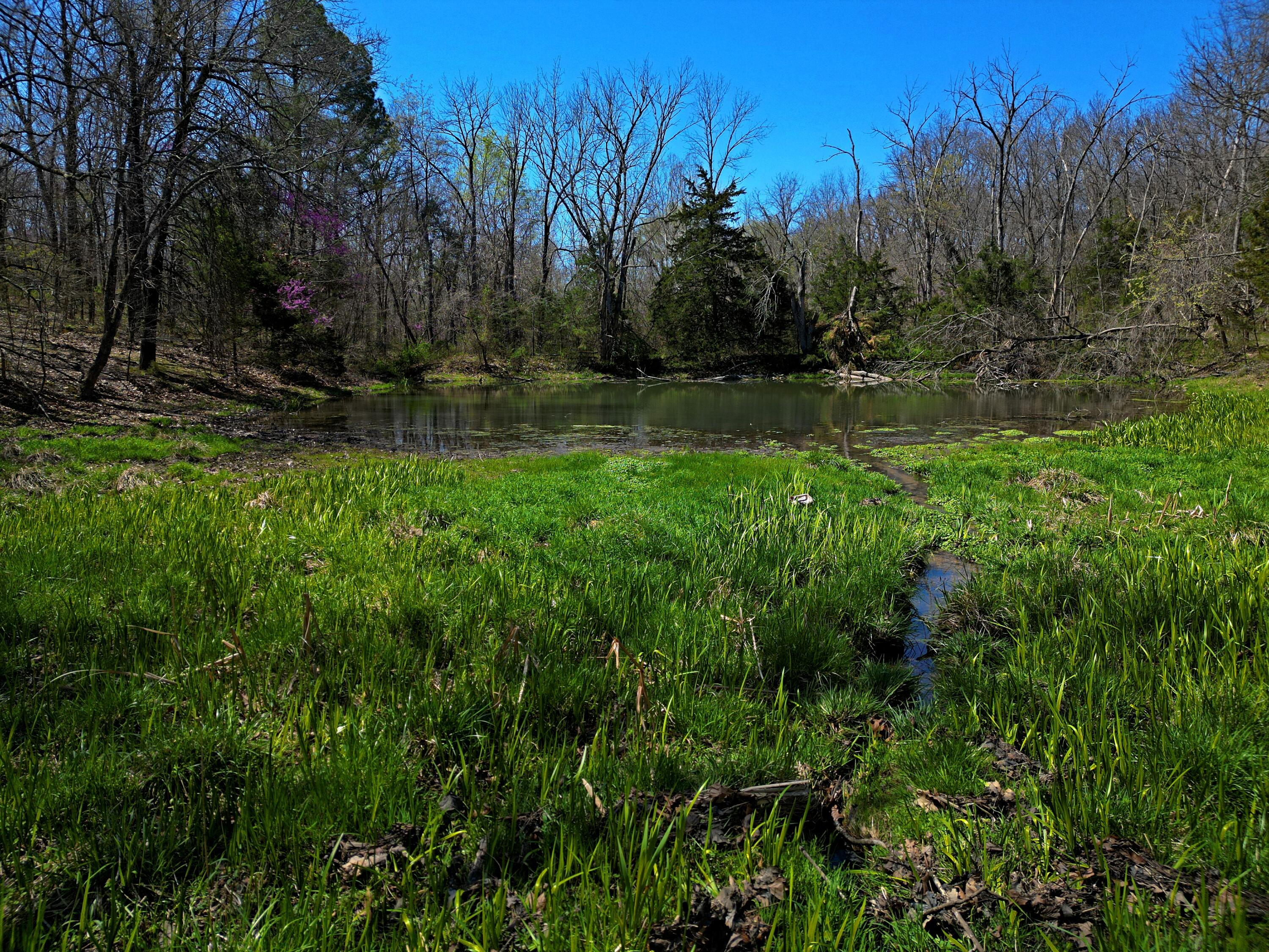 4912 State Highway Cc Property Photo 34