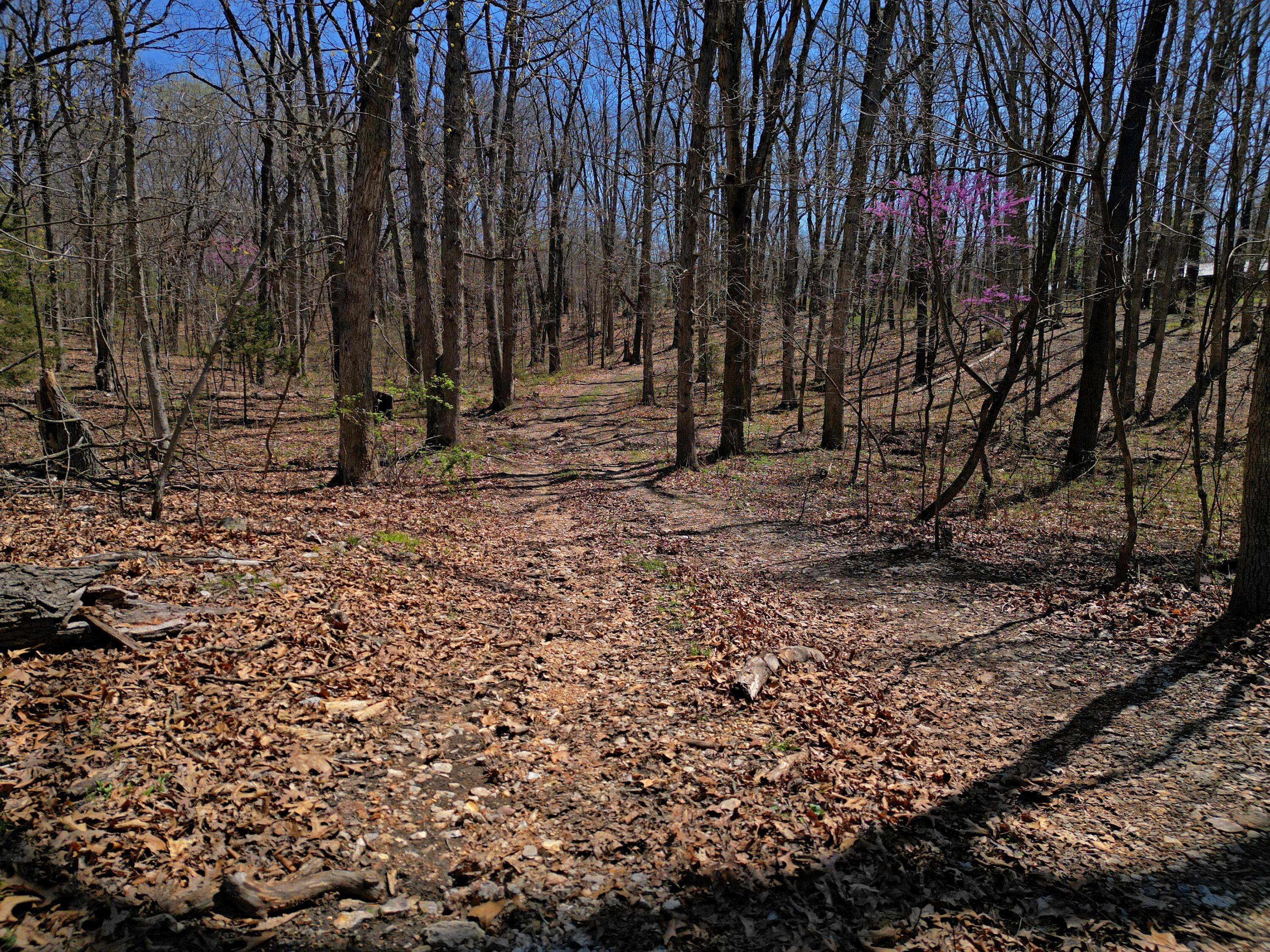 4912 State Highway Cc Property Photo 52